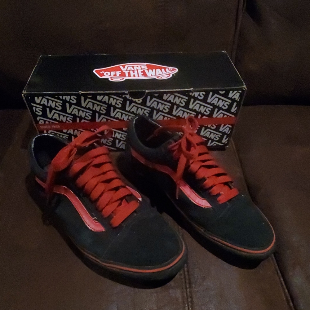 Van's old skool jay Adam's pro model